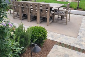 Cobblestone walkway maintained and weed-free in a garden